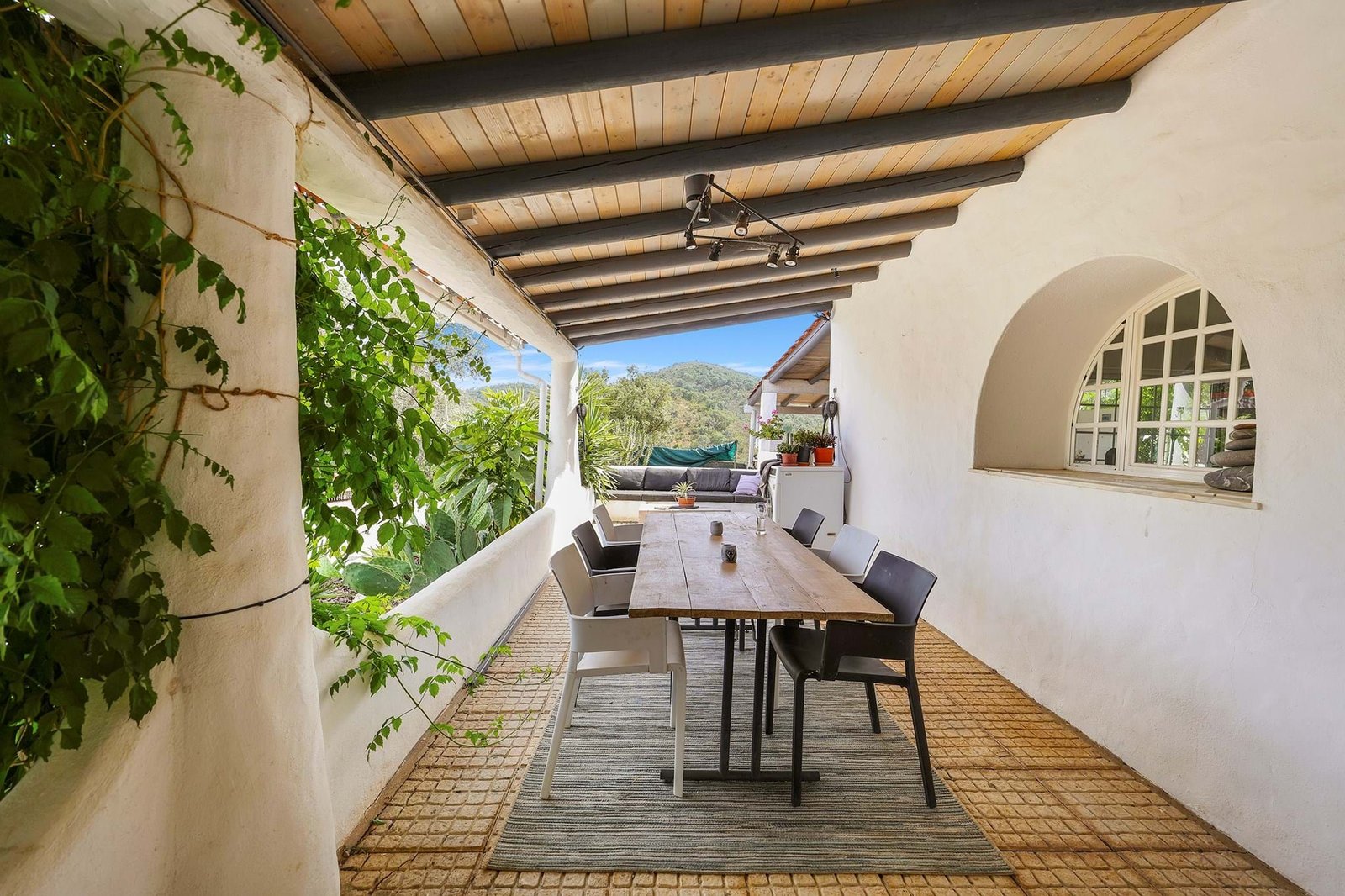 Sanctuary olive grove