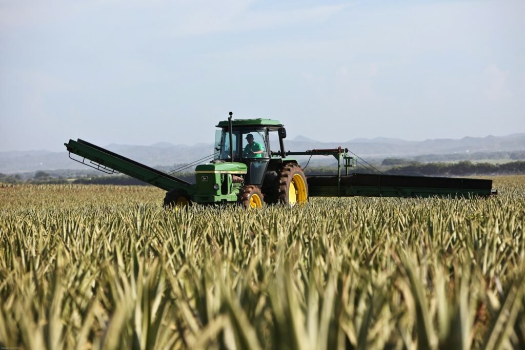 Farm tractor working in agricultural fields